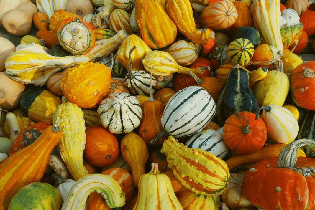 Sanity Restoring Foods for Your Upcoming Holiday Celebration