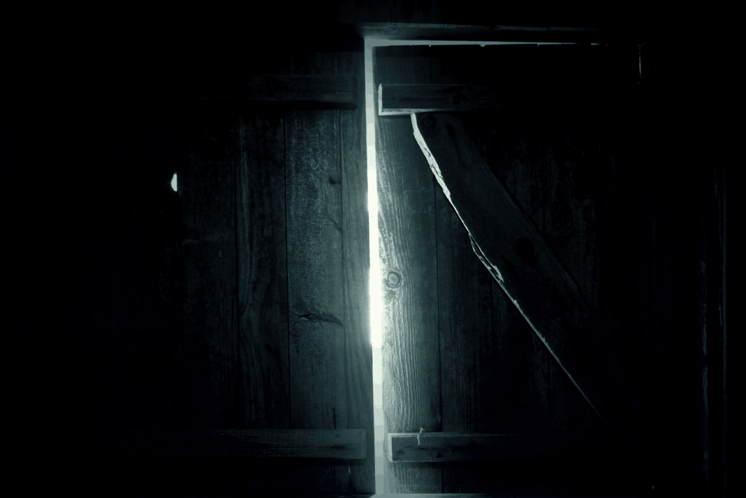 Seeing the Speck of Light Grow in the Darkness of My Mind
