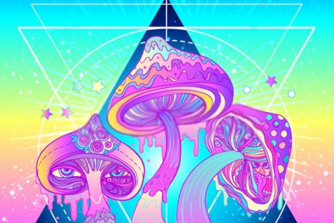 The impact of the pandemic on the use of psychedelics and mental health by young people