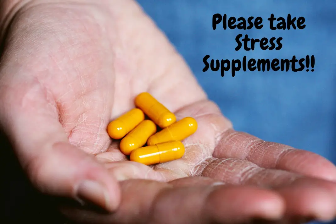 supplements to reduce stress