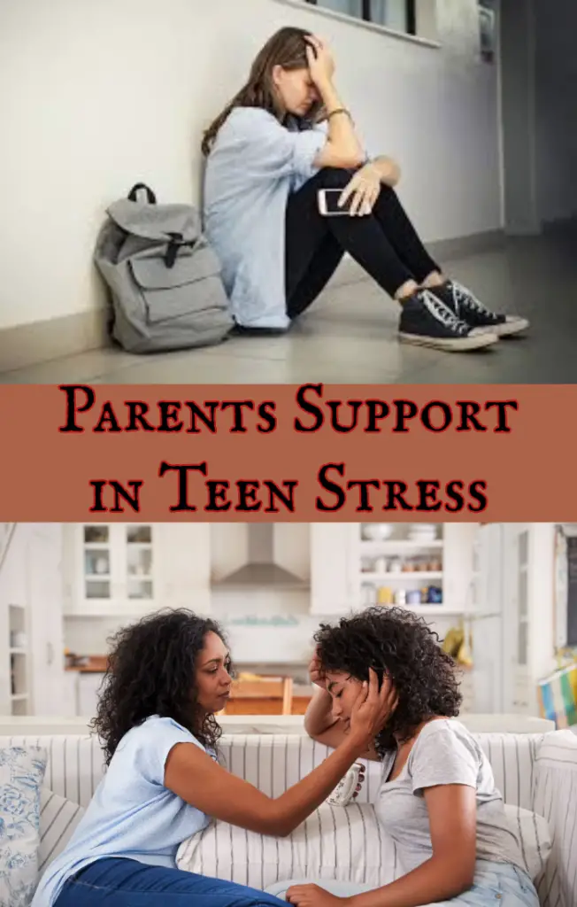 causes of stress among teenagers