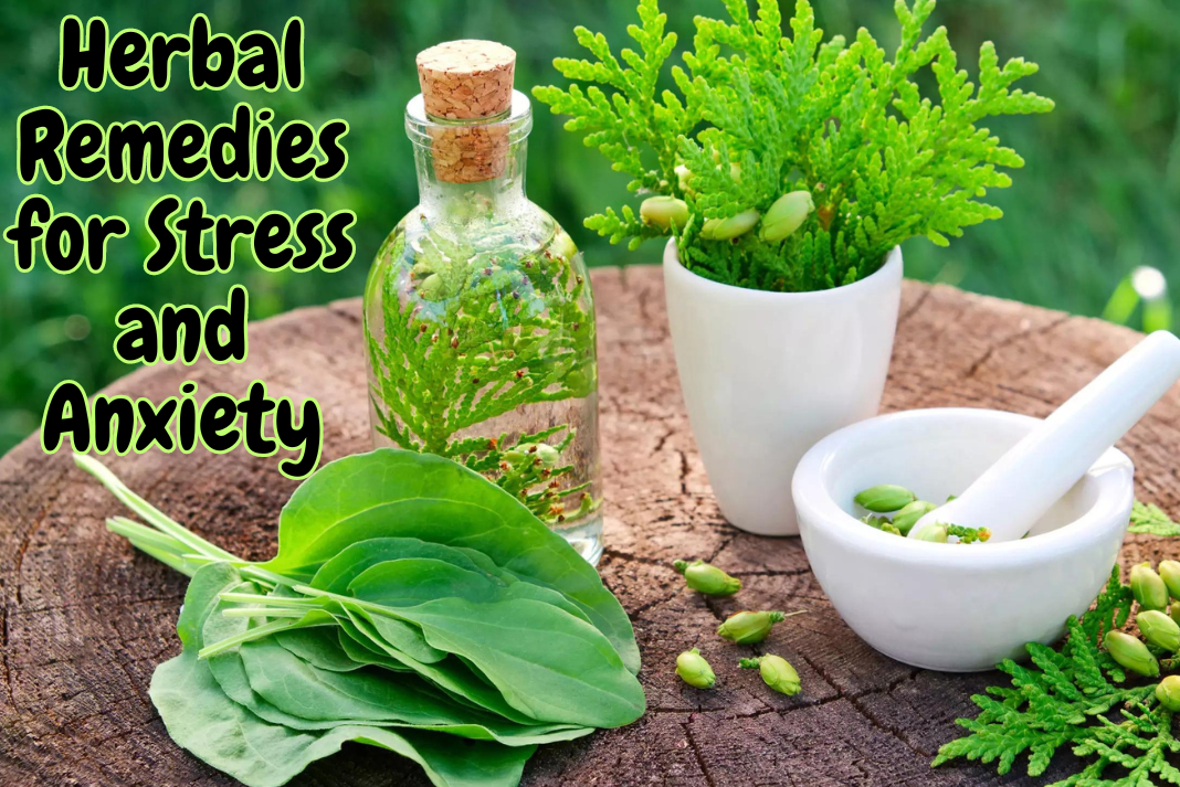 herbal remedies for anxiety and stress