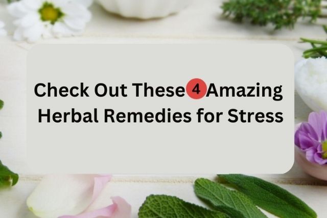 herbal remedies for anxiety and stress