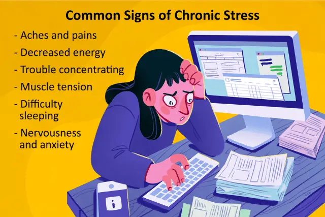 4 categories of stress