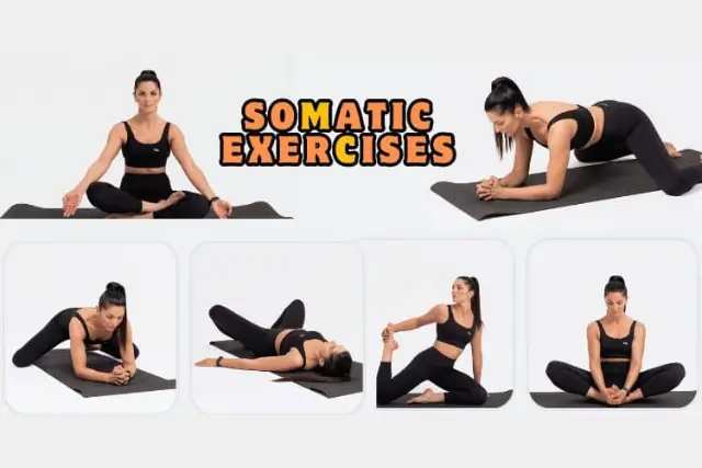 somatic therapy exercises